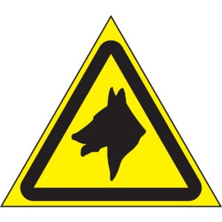 w32